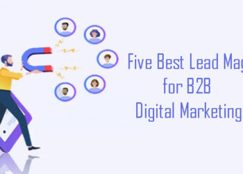 Five Best Lead Magnets for B2B Digital Marketing